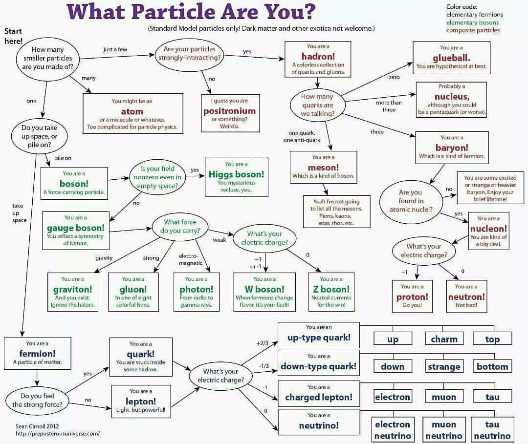 particles